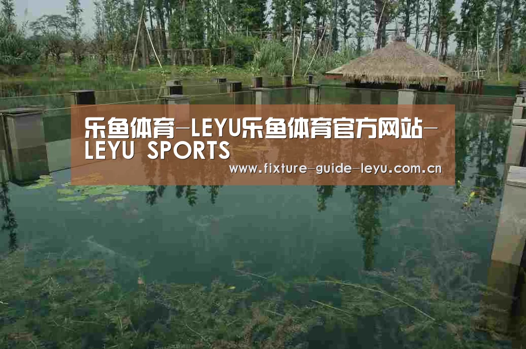 案例展示二(图1)