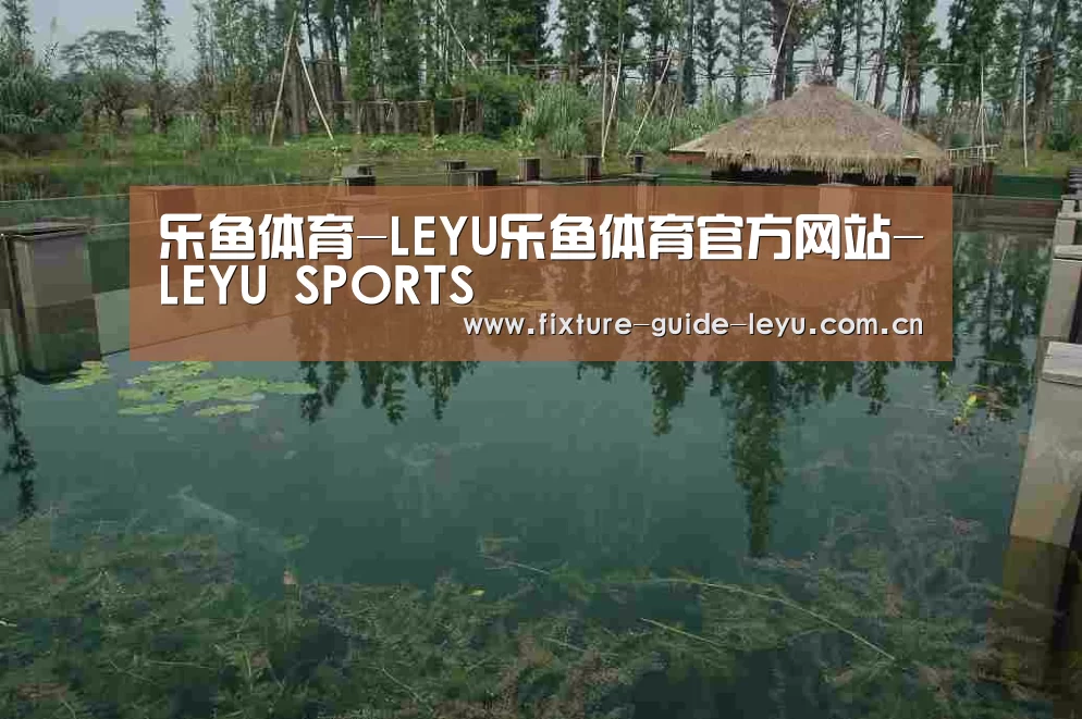 案例展示二