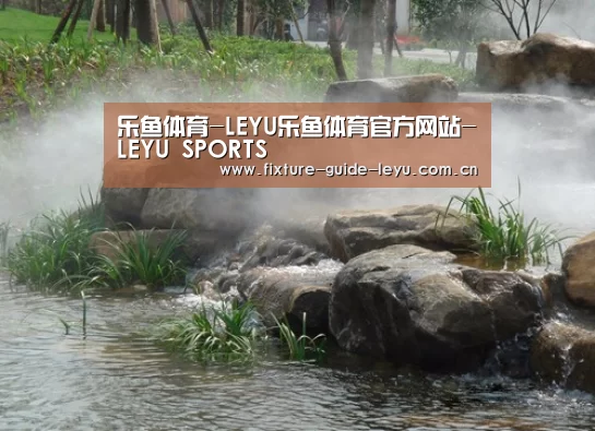 案例展示五