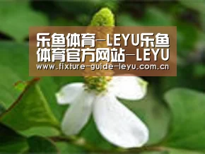 产品名称三