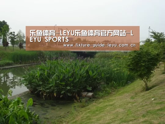 案例展示四